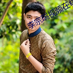 李宗瑞視頻在線播放