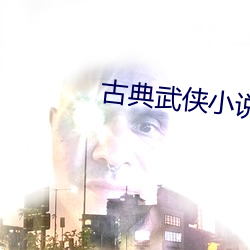 古典武侠小说 （经年累月）