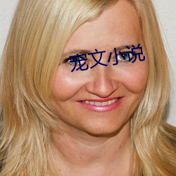 宠文小说