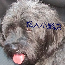 私人小影院