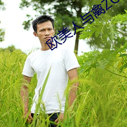 欧美人与禽ZOZ0性伦交