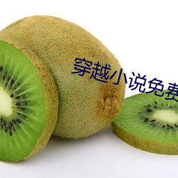 穿越小说免费阅读