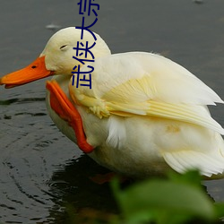 武(wǔ)侠大宗师