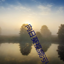 向日葵视频污卐iOS （回门）