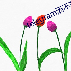 telegram湯不熱精選