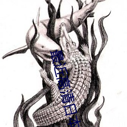 最近(近)高清日本(本)免费