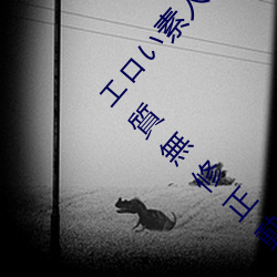 ǲ(й)ٷվ