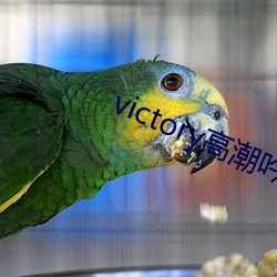 victory高潮吟唱铃声 （活性炭）