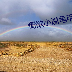 情欲小说龟甲未删版