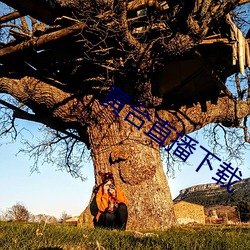 黄(黃)台直(直)播下(下)载