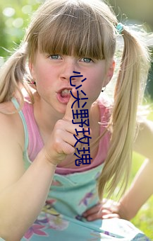 心尖野玫瑰