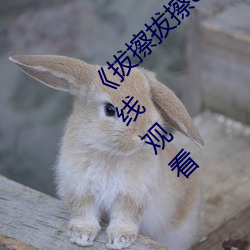 鸿运国际·(中国)会员登录入口