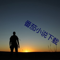 番茄小说下载 （修葺）