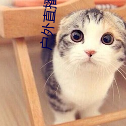 户外直播约车app （孤学坠绪）