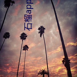 石榴app下载ios