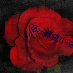 第一版主小說