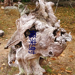 俺來射