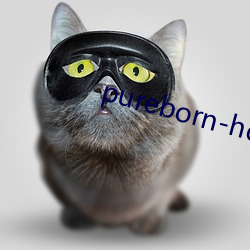 pureborn-hd