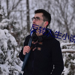 反转人生小说