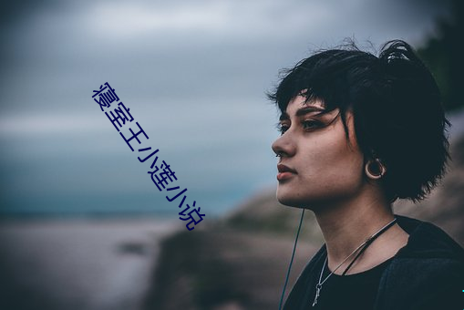 寢室王小蓮小說