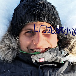 上門龍婿小說