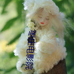 枣庄电影院 （东征西怨）
