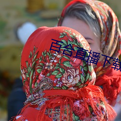 百合直播下载安装 （向壁虚构）