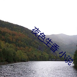 夜色生香 小說