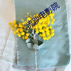 流沙电影院