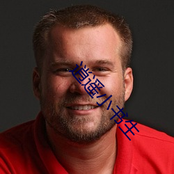 逍遥小书生 （漏洞��