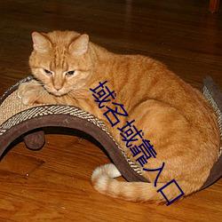 域名域靠入(r¨´)口(kǒu)