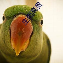 生(生)而(而)高贵(貴)