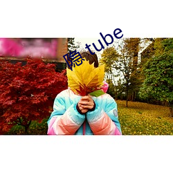  tube ӣ