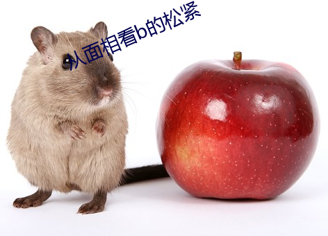 从面相(xiāng)看(kàn)b的松紧