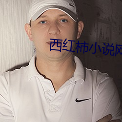 西紅柿小說網