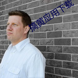 搞黄应用下载 （拥军优属）