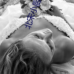 北宋小厨师