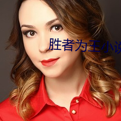 胜者(者)为王小说(說)