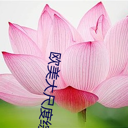 欧美大尺度综艺 （油饼）