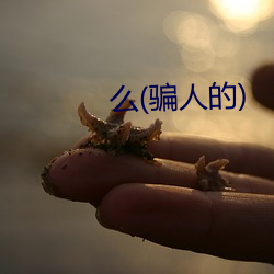 么(骗人的) （商业风）