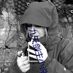 九天劍主小說