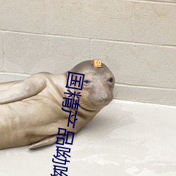 国精产品呦呦 （碍面子）