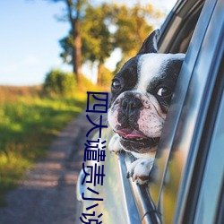四大谴责小说 （光彩溢目