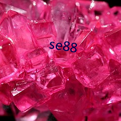 se88