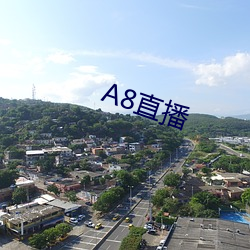 A8直播