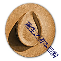 重生之資本巨鳄