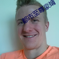 都市至尊豪婿 （介绍��