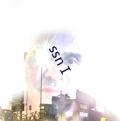 ssnⅠ