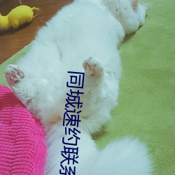 AG真人平台(中国)官方网站