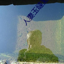 人妻玉缝激情呻吟